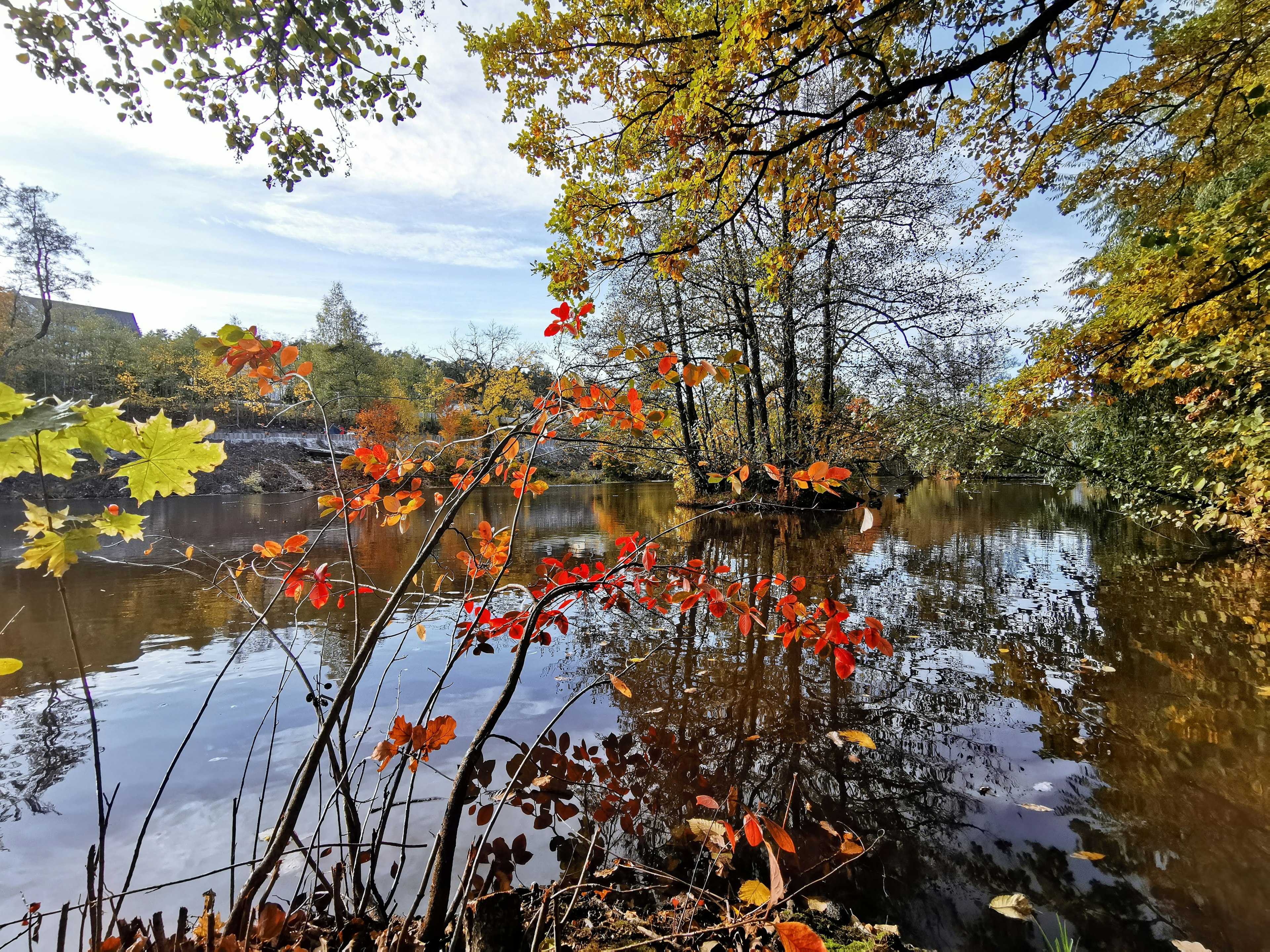 静かな川と秋の紅葉が映る風景