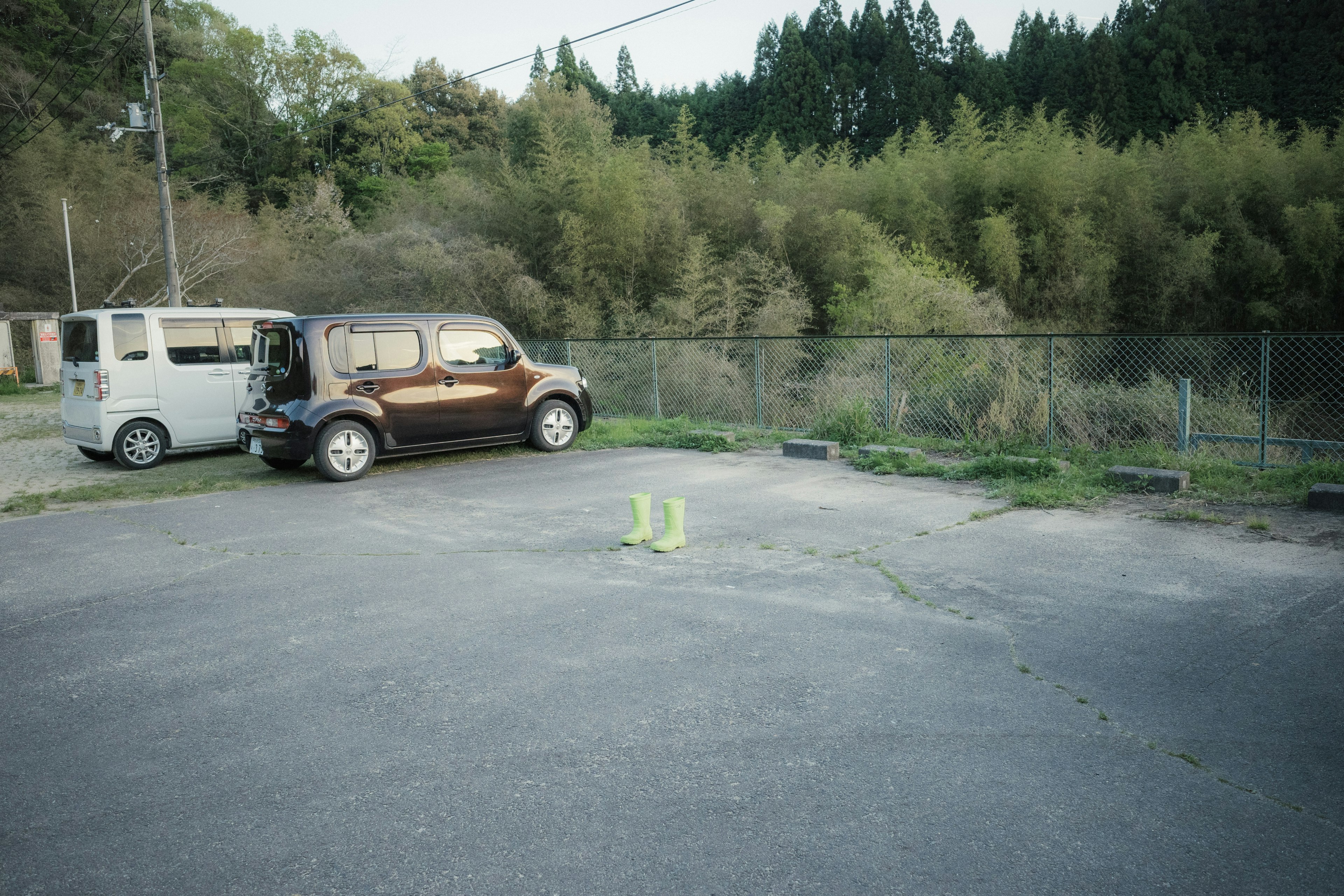 Two cars parked in a lot with green plants in the background