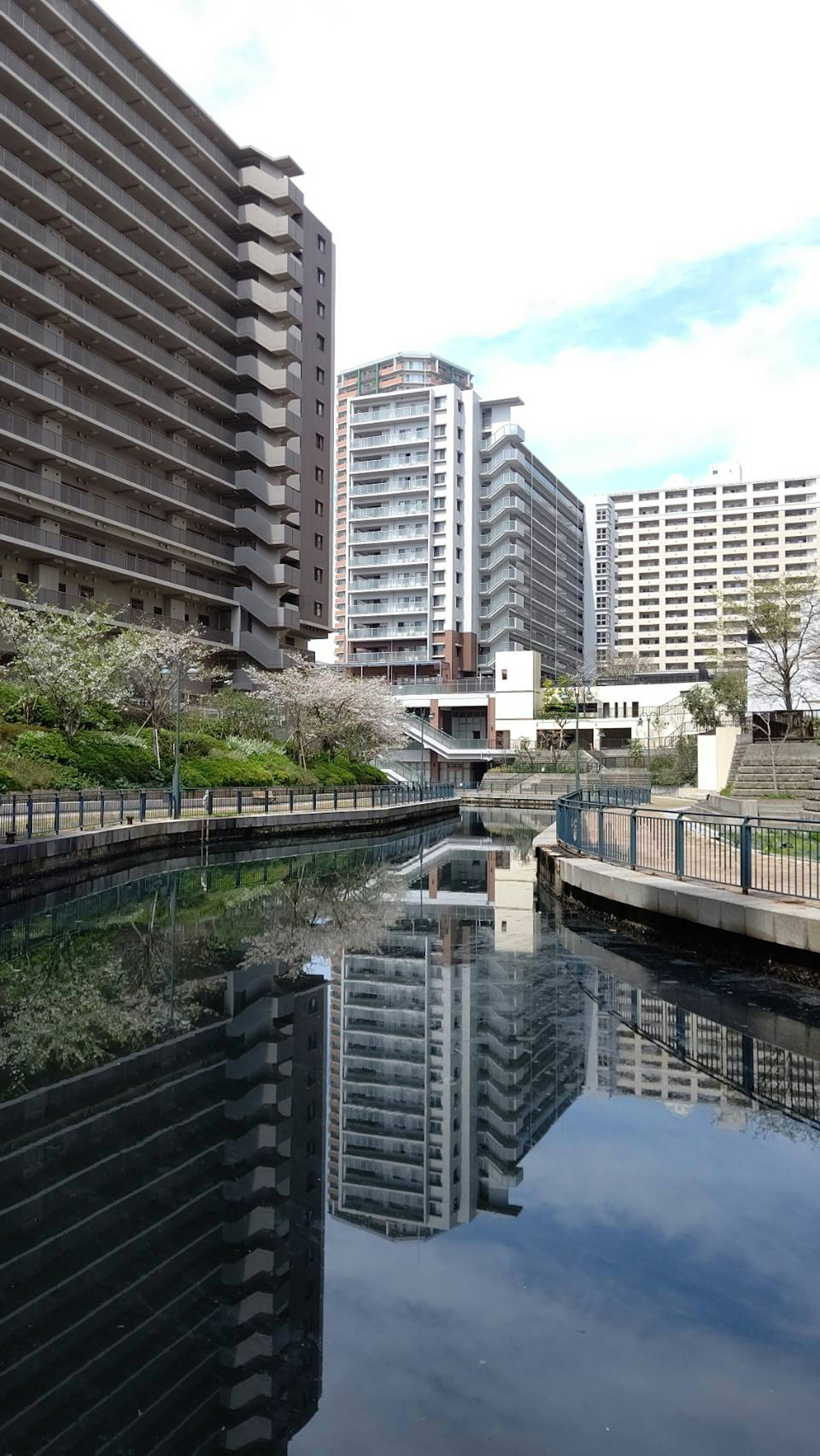 静かな運河に映る現代的な建物群と緑の風景